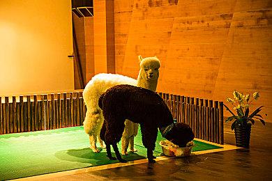 报告显示：《暗黑不朽》50%玩家之前从未玩过暗黑